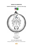 Curso Vodu Módulo 10.pdf